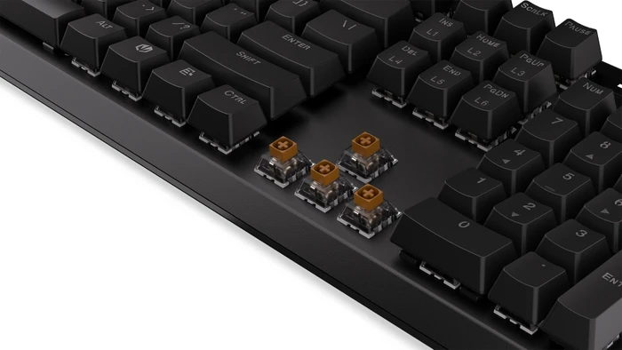 Endorfy Thock Wireless Brown, PBT, LEDs RGB, hot-swap, Kailh Box BROWN, USB/Bluetooth, US
