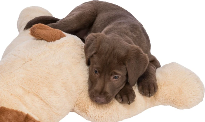 Trixie Kuschelhund Benny, 75cm, beige/braun