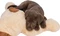 Trixie Kuschelhund Benny, 75cm, beige/braun Vorschaubild
