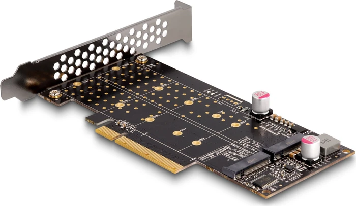 DeLOCK 2x M.2 PCIe, PCIe 4.0 x8