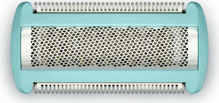 Philips BG2010/43 Scherkopf