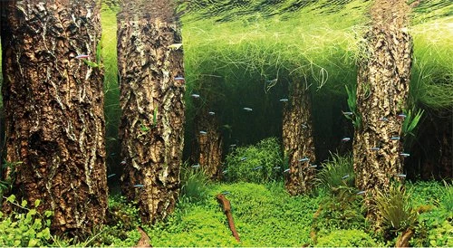 Hobby Fotorückwand Scaper's Hill & Scaper's Forest