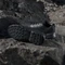 adidas Terrex Eastrail 3 carbon/core black/semi flash aqua (Damen) Vorschaubild