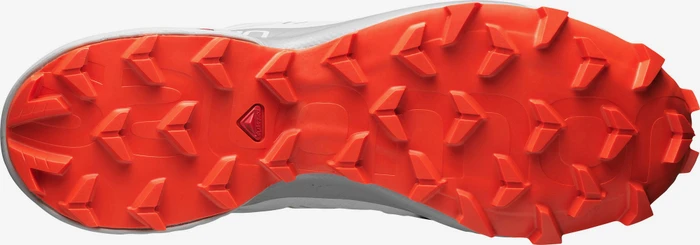 Salomon Speedcross 5 vapor blue/alloy/cherry tomato (Herren)