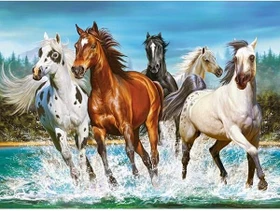 Castorland Call of Nature