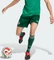 adidas FIFA WM 2026 Algerien Auswärtsshorts team dark green (Herren) Vorschaubild