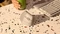Logitech Lift Vertical Ergonomic Mouse, Sand, Logi Bolt, USB/Bluetooth Vorschaubild