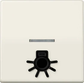 Jung Serie AS Wippe mit abtastbarem Symbol "Licht", weiß