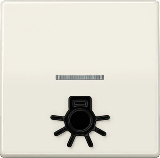 Jung Serie AS Wippe mit abtastbarem Symbol "Licht", weiß