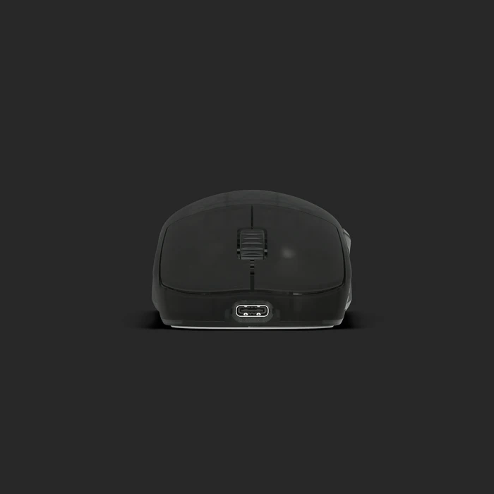 Endgame Gear OP1w 4k Wireless Gaming Mouse Dark Frost, USB