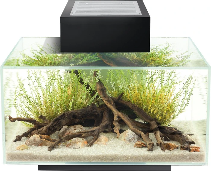 Fluval Edge 2.0 Aquarium-Set, schwarz, 23l