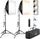RaLeno 2x 50W LED Softbox Set (PS30)