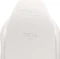 Secretlab Titan Evo NanoGen, Pure White, weiß Vorschaubild