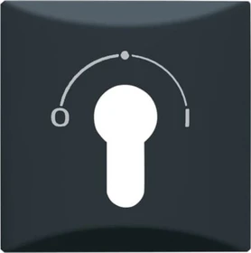 Busch-Jaeger Allwetter 44 Zentralscheibe mit Aufdruck, anthrazit