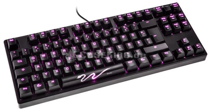 Ducky Shine 3 Slim [TKL], LEDs violett, MX BLACK, USB, DE