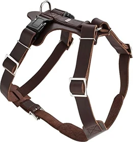 Hunter Aalborg Hundegeschirr, Leder, M-L/1, dunkelbraun