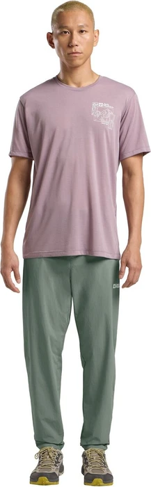 Jack Wolfskin Hikeout Hose lang slate green (Herren)