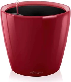 Lechuza Classico LS 21 scarlet rot