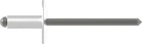 Gesipa A2 Edelstahl Großkopf Blindniete 4.8x16mm, 250 Stück