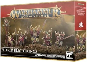 Games Workshop Warhammer Age of Sigmar - Maggotkin of Nurgle - Putrid Blightkings