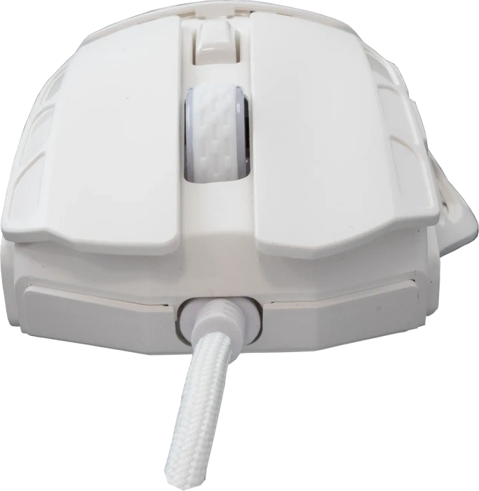 White Shark Ector White Gaming Mouse, weiß, USB