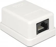 DeLOCK Cat6 Anschlussdose Aufputz weiß, 1x RJ-45