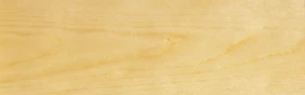 PNZ Holzdeckfarbe farblos, 2.5l