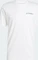 adidas Terrex Graphic T-Shirt kurzarm white/grey three (Herren) Vorschaubild