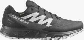 Salomon Outpath GTX phantom/asphalt/lunar rock (Herren)