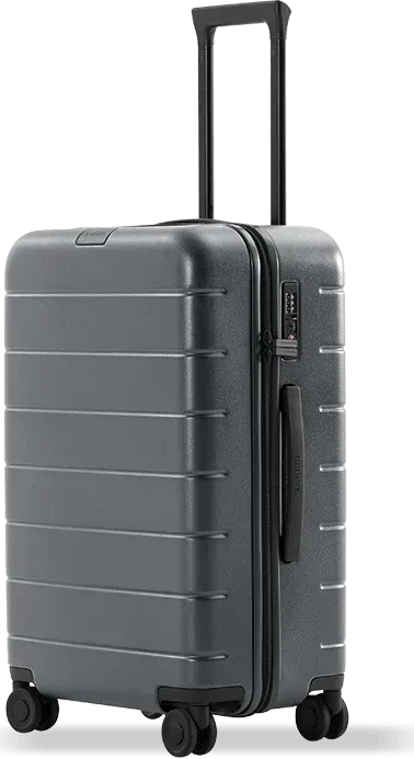 Xiaomi Classic Pro Spinner grau
