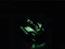 Hama uRage Reaper nxt. Gaming Mouse, USB Vorschaubild