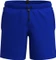Arena Evo II 41.5cm Badeshorts (Herren) Vorschaubild