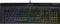 Corsair Gaming K55 RGB, USB, DE Vorschaubild