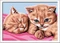 Ravensburger Malen nach Zahlen Kuschelfreunde Vorschaubild