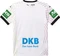 Puma DHB 2025 Heimtrikot kurzarm (Herren) Vorschaubild