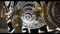 The Legend of Zelda: Twilight Princess HD (WiiU) Vorschaubild
