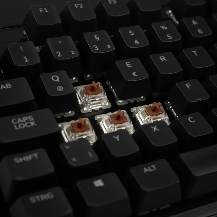 Mountain Everest Max Midnight Black, LEDs RGB, Gunmetal Gray, MX RGB BROWN, USB, DE