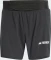 adidas Terrex Techrock Pro Trail Laufhose kurz (Herren) Vorschaubild