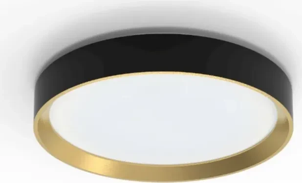 Philips Hanno SS RD LED-Deckenleuchte 2700K schwarz/gold