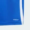 adidas Tiro 24 Trikot kurzarm royal blue/white (Junior) Vorschaubild
