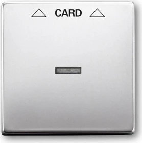 Busch-Jaeger Pur Edelstahl Zentralscheibe für Cardschalter, edelstahl