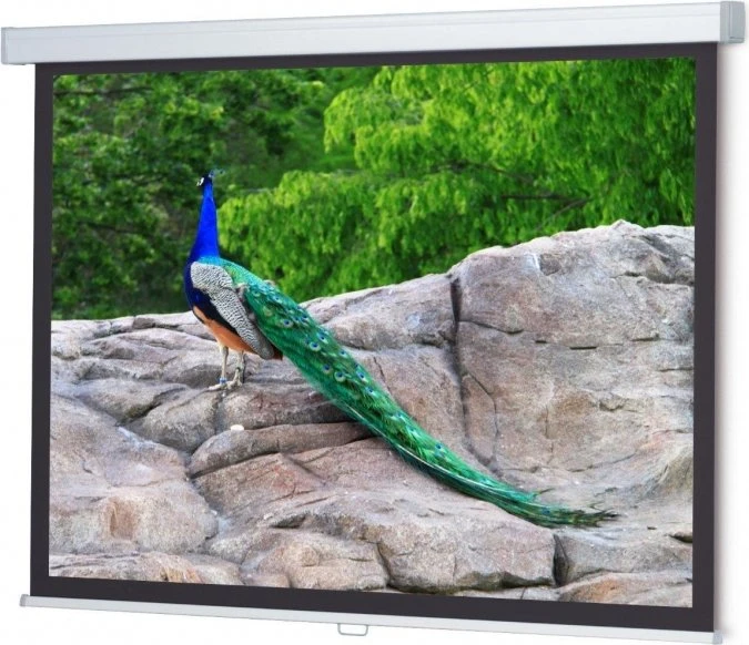 WS Spalluto WS-P-ProScreen Rolloleinwand 230x144cm (21628)
