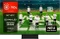 TCL QD-Mini LED 50Q7C Vorschaubild