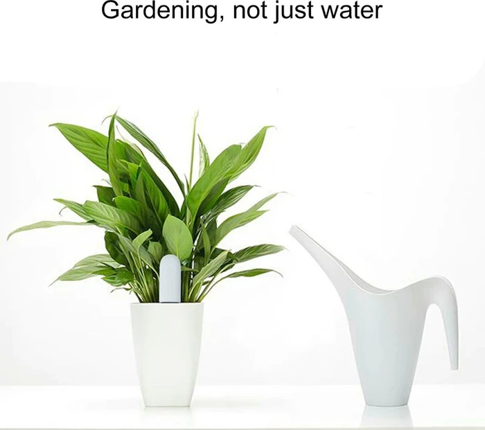 Xiaomi HHCC Mi Flower Care Max Sensor, Feuchtesensor (verschiedene Markenbezeichnungen)