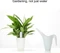 Xiaomi HHCC Mi Flower Care Max Sensor, Feuchtesensor (verschiedene Markenbezeichnungen) Vorschaubild