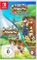Harvest Moon: The Lost Valley & Skytree Village Vorschaubild