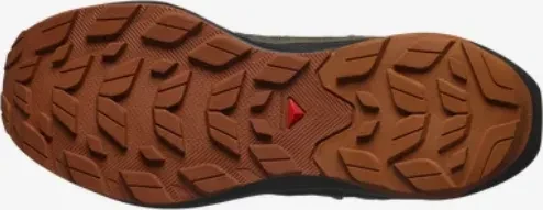 Salomon Elixir Activ Mid GTX peat/black/caramel cafe (Herren)