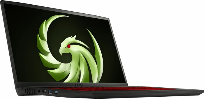 MSI Bravo 17 073-A4DDR, Ryzen 7 4800H, 8GB RAM, 512GB SSD, Radeon RX 5500M, DE