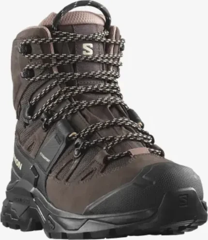 Salomon Quest 4 GTX shopping bag/black/cork (Damen)