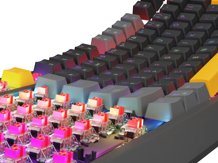 Genesis Thor 230 TKL, Anchor Gray Positive, LEDs RGB, hot-swap, Outemu Red, USB, US